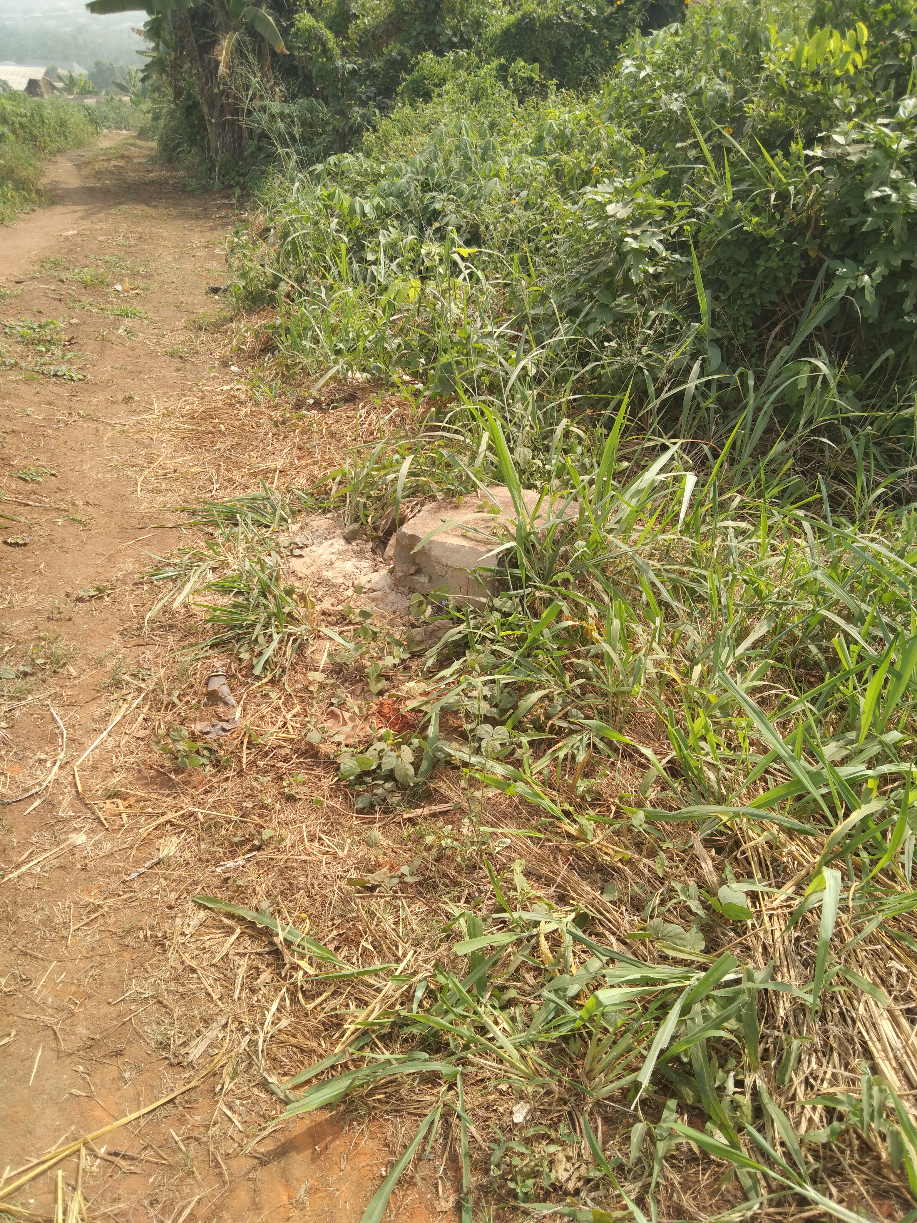 Vacant Land In Achers